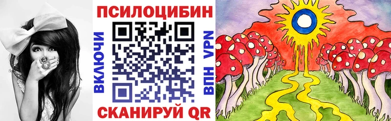 Галлюциногенные грибы MAGIC MUSHROOMS  купить наркотик  Тулун 